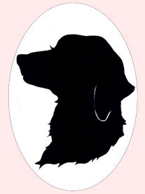 Silhouette Front Pic